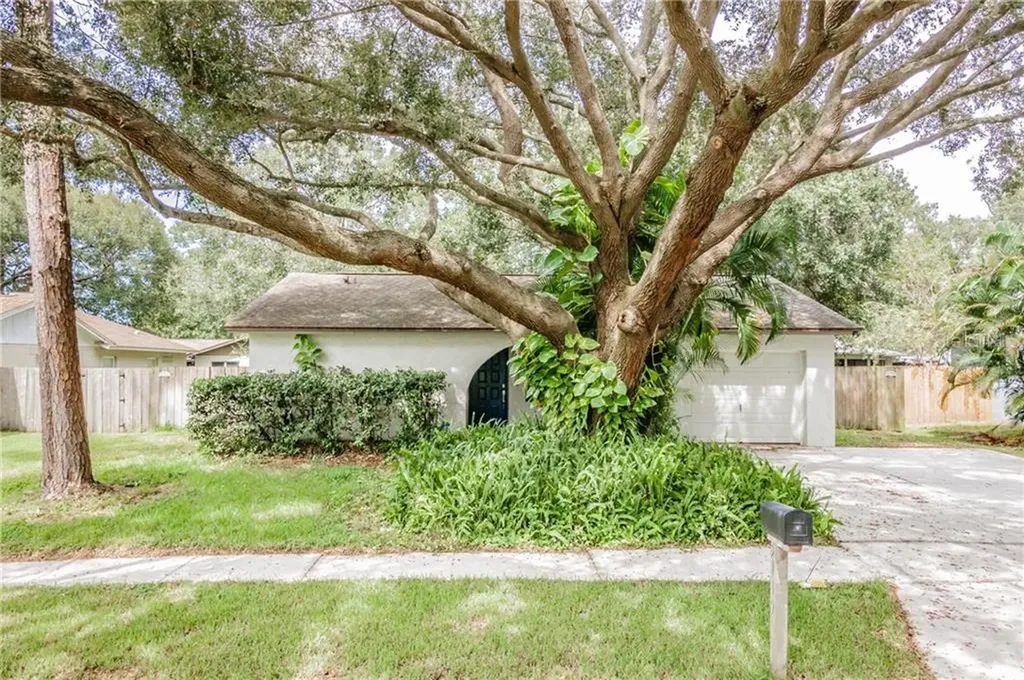 5119 Ellendale Avenue Tampa FL 33625