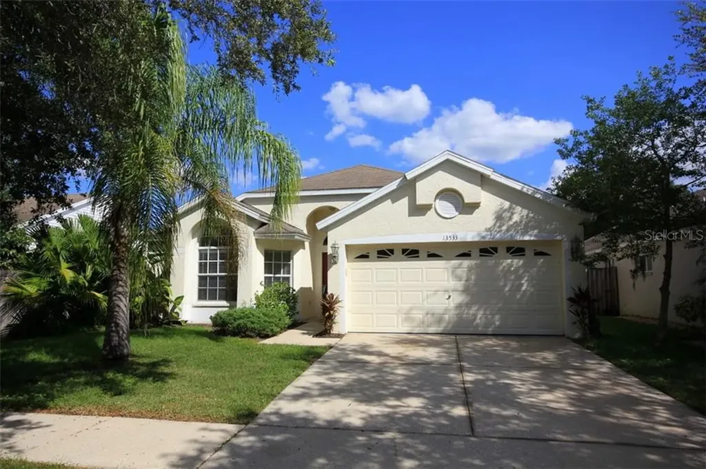 13533 White Elk Loop Tampa FL 33626