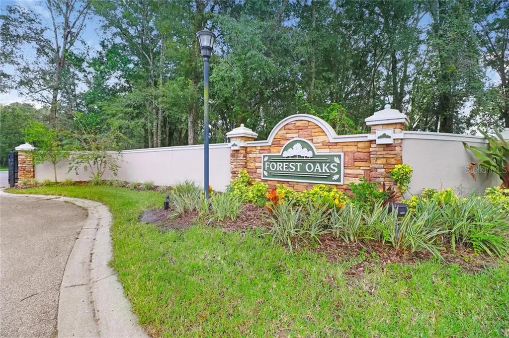 30031 Vienna Woods Lane Wesley Chapel FL 33545