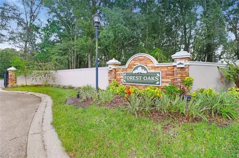 30031 Vienna Woods Lane Wesley Chapel FL 33545