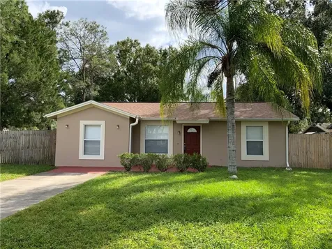 22708 Newfield Court Land O Lakes FL 34639
