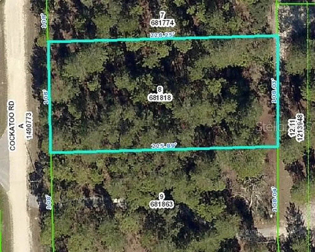 8358 Cockatoo Road Weeki Wachee FL 34613