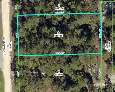 8358 Cockatoo Road Weeki Wachee FL 34613