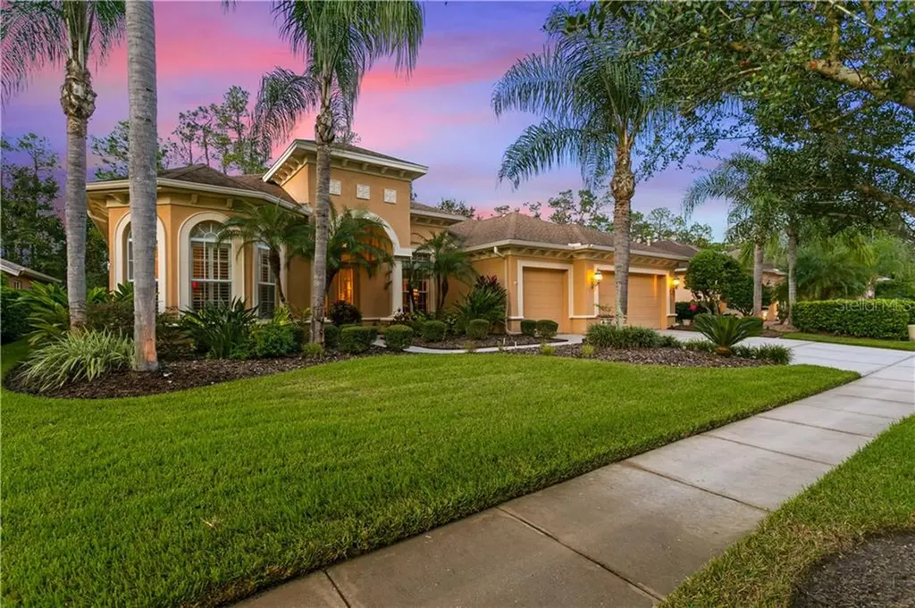 27051 Brush Creek Way Wesley Chapel FL 33544