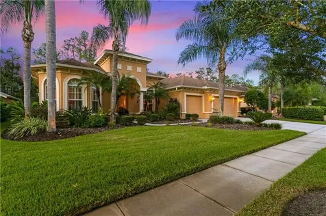 27051 Brush Creek Way Wesley Chapel FL 33544
