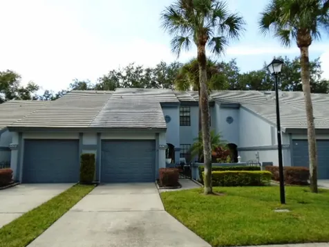 4241 Brentwood Park Circle Tampa FL 33624