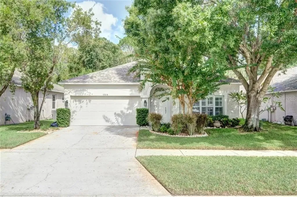 12519 Sparkleberry Road Tampa FL 33626