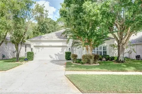 12519 Sparkleberry Road Tampa FL 33626