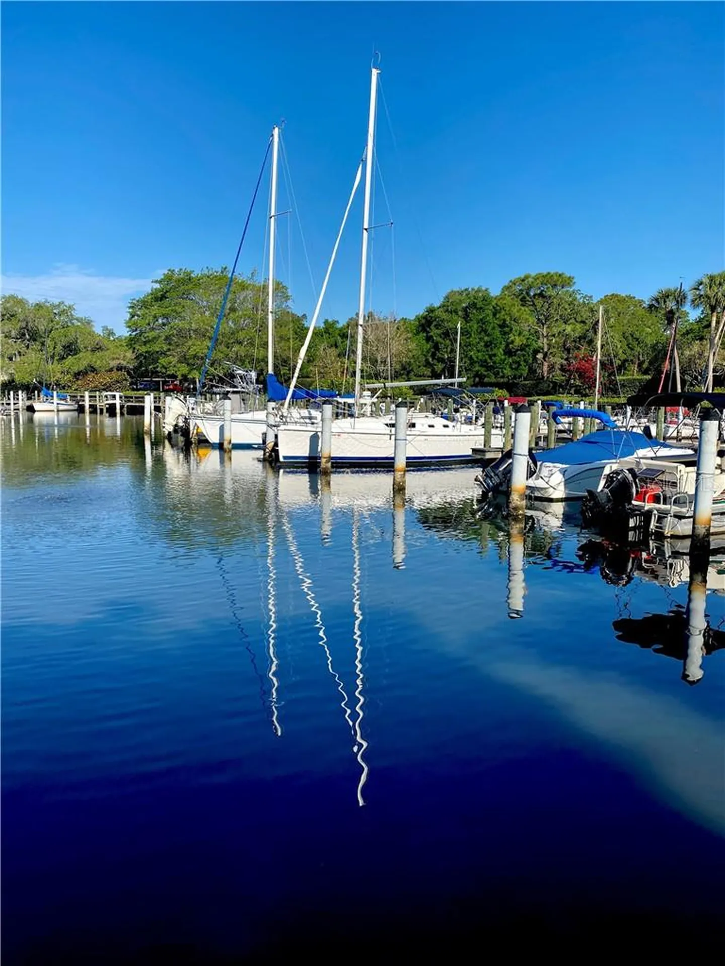 1625 Treehouse Circle Sarasota FL 34231