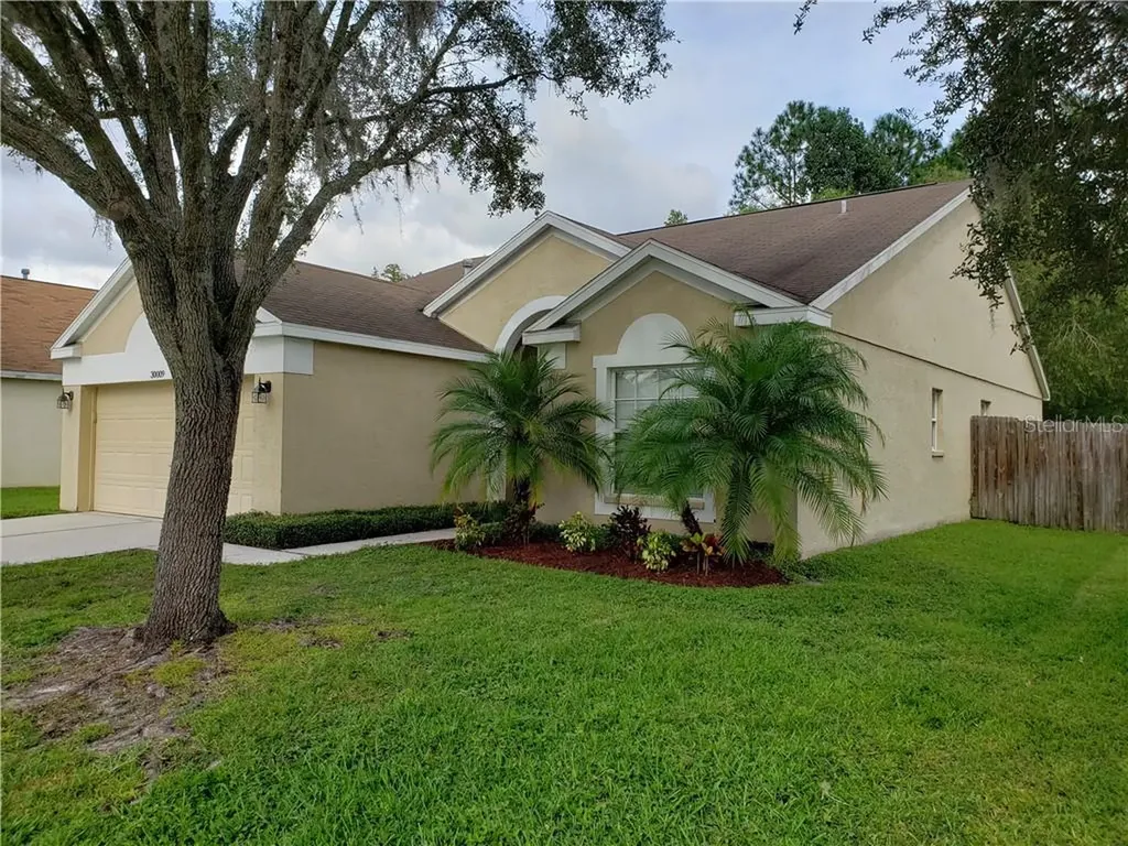 30009 Morningmist Drive Wesley Chapel FL 33543