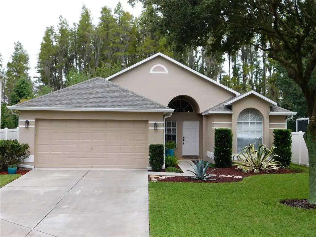 19309 Weedon Court Land O Lakes FL 34638