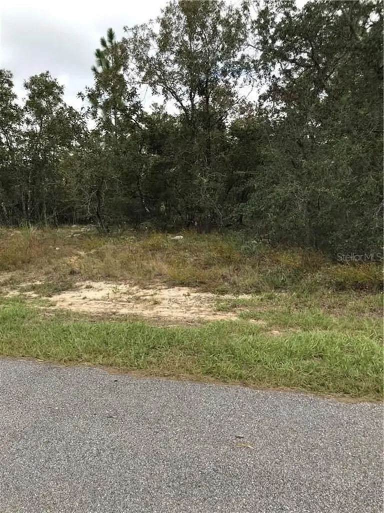 3851 W Baton Lane Citrus Springs FL 34433