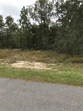 3851 W Baton Lane Citrus Springs FL 34433
