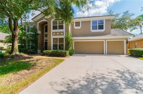18117 Regents Square Drive Tampa FL 33647