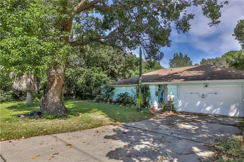 12861 Linden Drive Spring Hill FL 34609