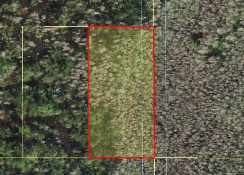 Holopaw Groves Road St Cloud FL 34773