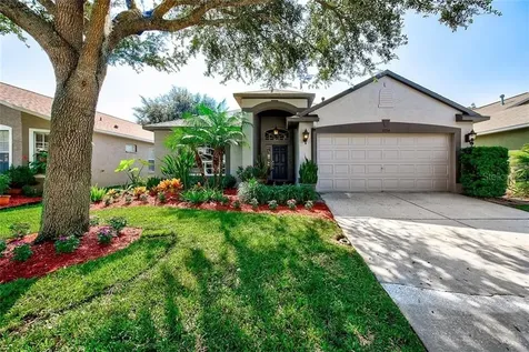 19314 Weedon Court Land O Lakes FL 34638