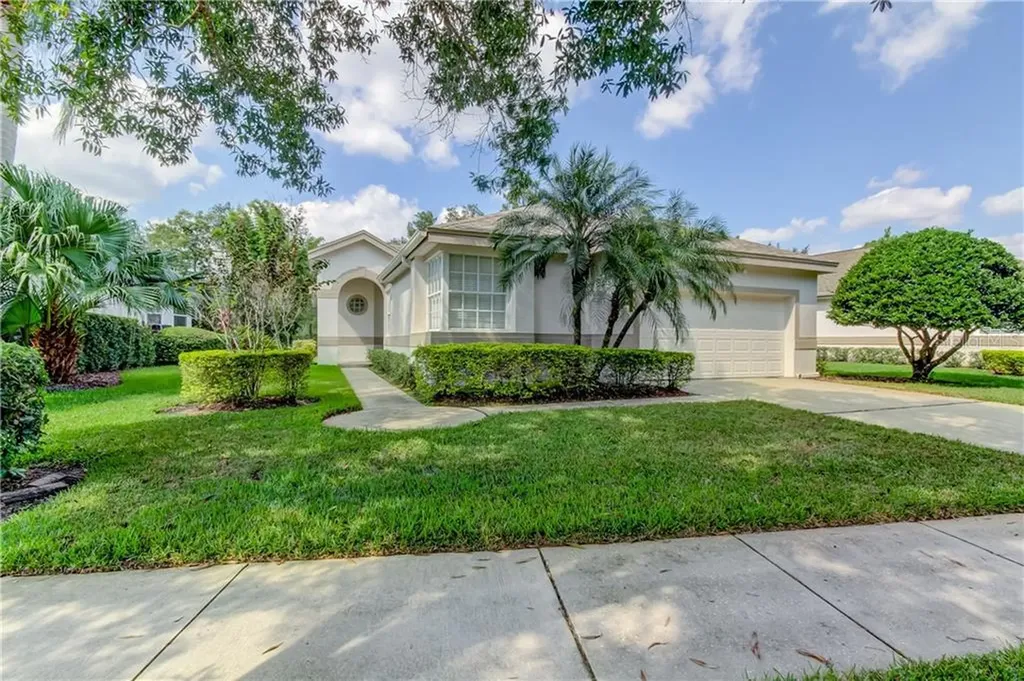 12215 Glencliff Circle Tampa FL 33626