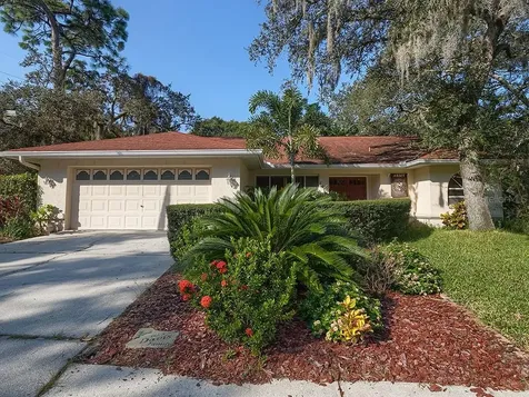 1015 Knollwood Court Safety Harbor FL 34695