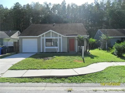 12315 Hidden Brook Drive Tampa FL 33624