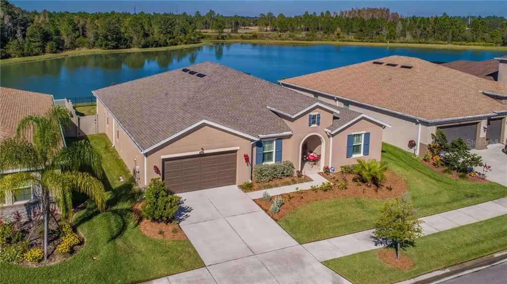 31485 Driscoll Drive Wesley Chapel FL 33543