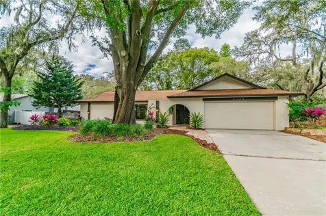 3029 Wister Circle Valrico FL 33596