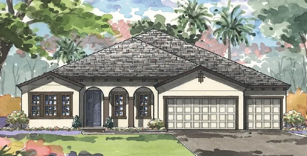 21917 Woodshadow Way Land O Lakes FL 34637