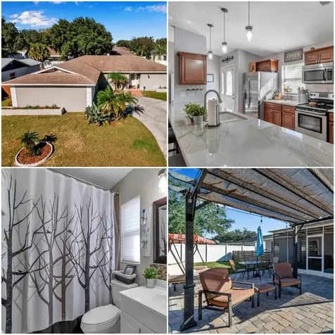 5613 Tern Court Tampa FL 33625