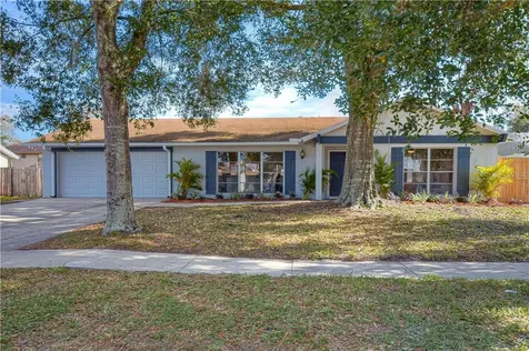 12513 Brucie Place Tampa FL 33625