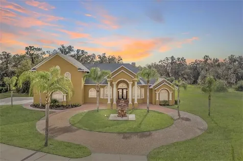 11518 Hammock Oaks Court Lithia FL 33547