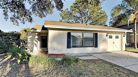 10011 Regal Woods Lane Tampa FL 33624