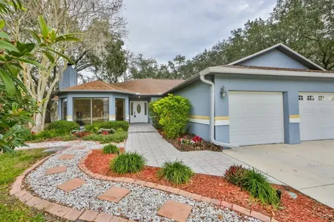 3203 Pleasant Lake Drive Tampa FL 33618