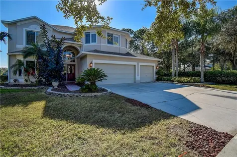 4244 Sandy Shores Drive Lutz FL 33558