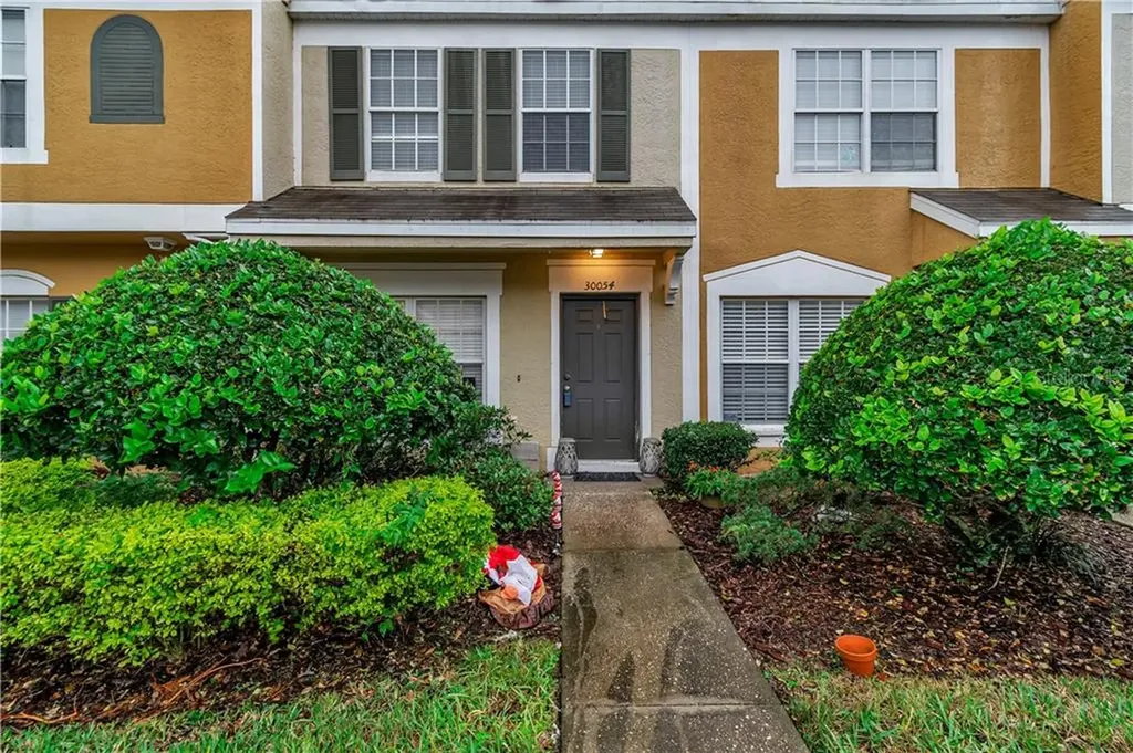 30054 Granda Hills Court Wesley Chapel FL 33543