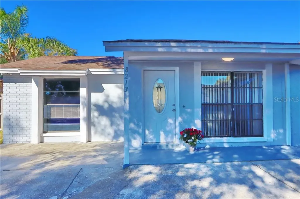 8213 Olivewood Place Tampa FL 33615