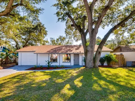 2767 Dovewood Street Clearwater FL 33759
