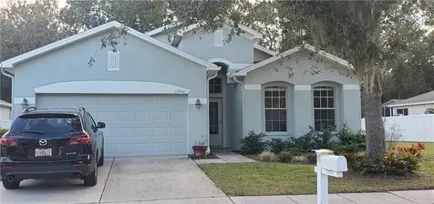12950 Turnstone Court Hudson FL 34669