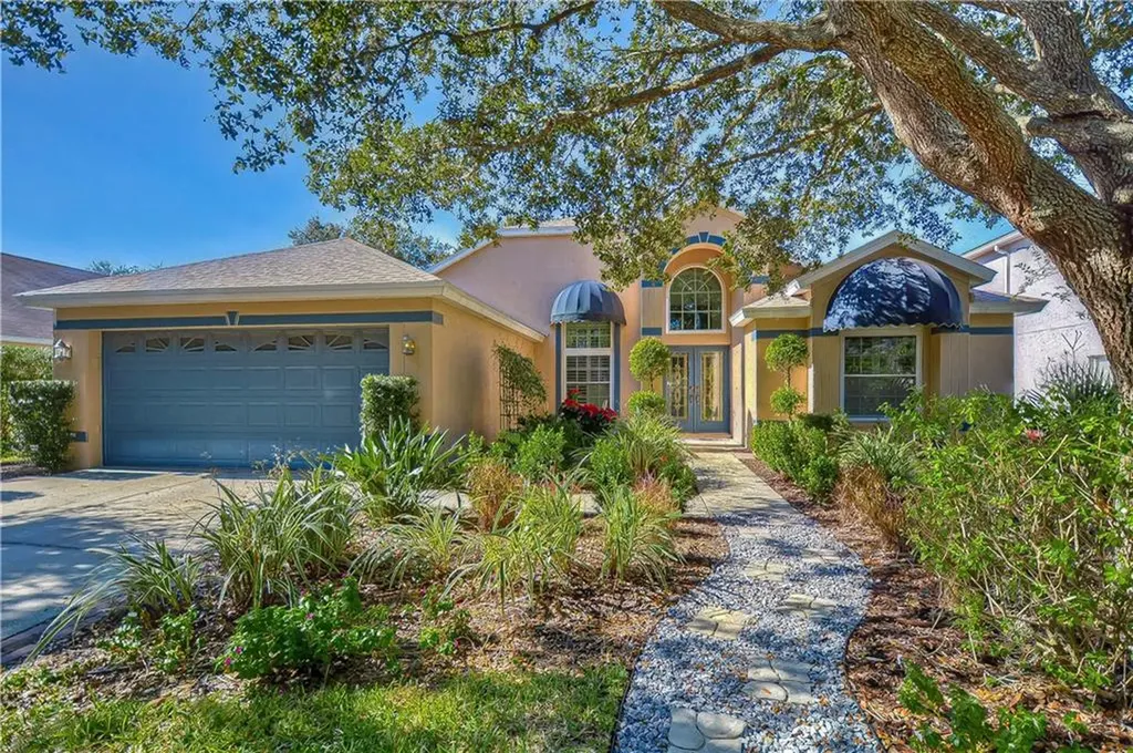 13508 White Elk Loop Tampa FL 33626