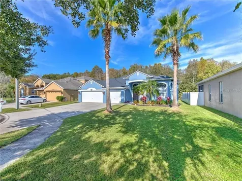 27645 Mulholland Court Wesley Chapel FL 33544