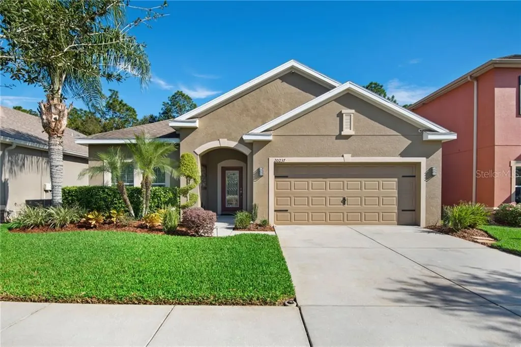 20237 Autumn Fern Avenue Tampa FL 33647