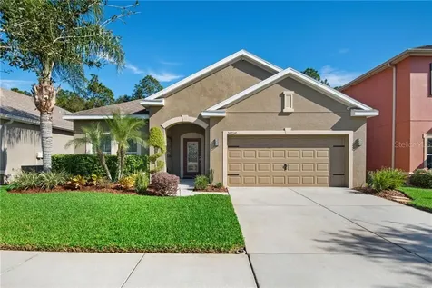 20237 Autumn Fern Avenue Tampa FL 33647