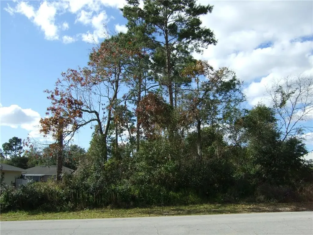 1772 Laredo Drive Deltona FL 32738