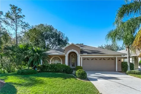 14602 Corkwood Drive Tampa FL 33626