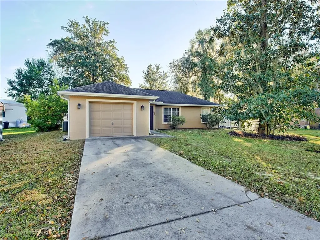 1965 Cr 439d Lake Panasoffkee FL 33538