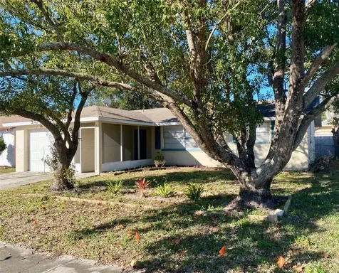 11535 Bear Paw Lane Port Richey FL 34668