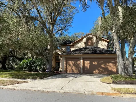 4601 Basswood Street Land O Lakes FL 34639