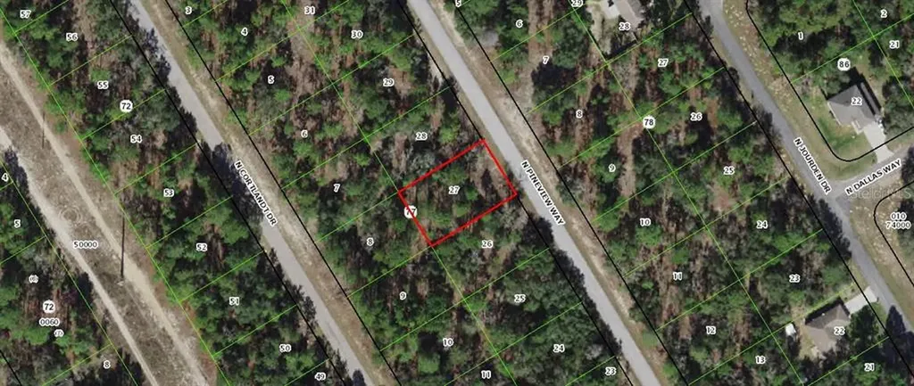 9318 N Pineview Way Citrus Springs FL 34434