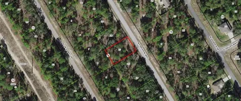 9318 N Pineview Way Citrus Springs FL 34434