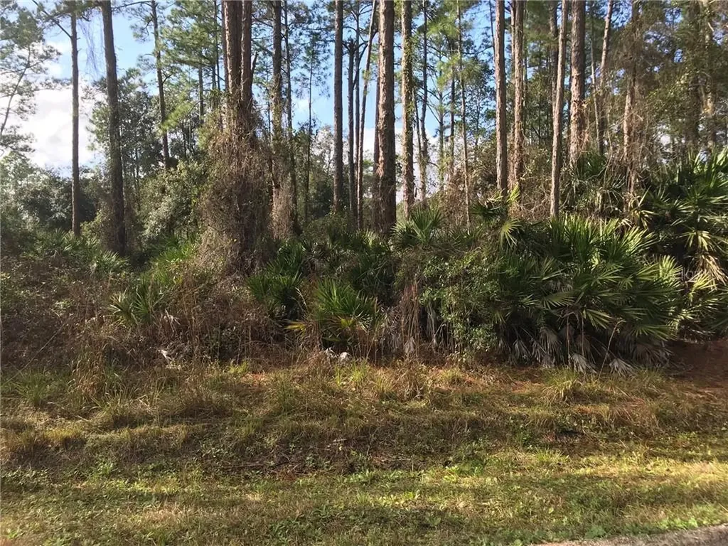 2220 East Parkway Deland FL 32724