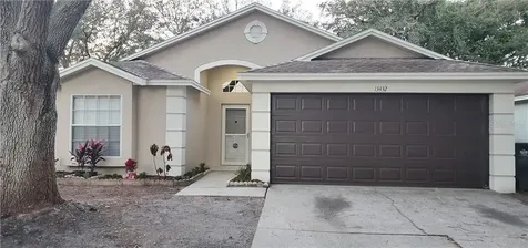 13432 Bellingham Drive Tampa FL 33625